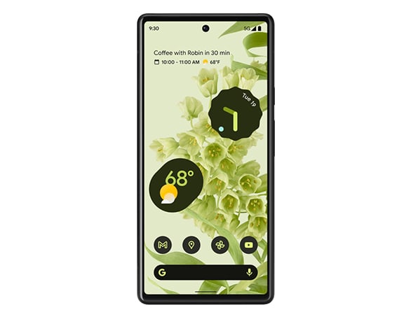 Geeignet für Google Pixel 6